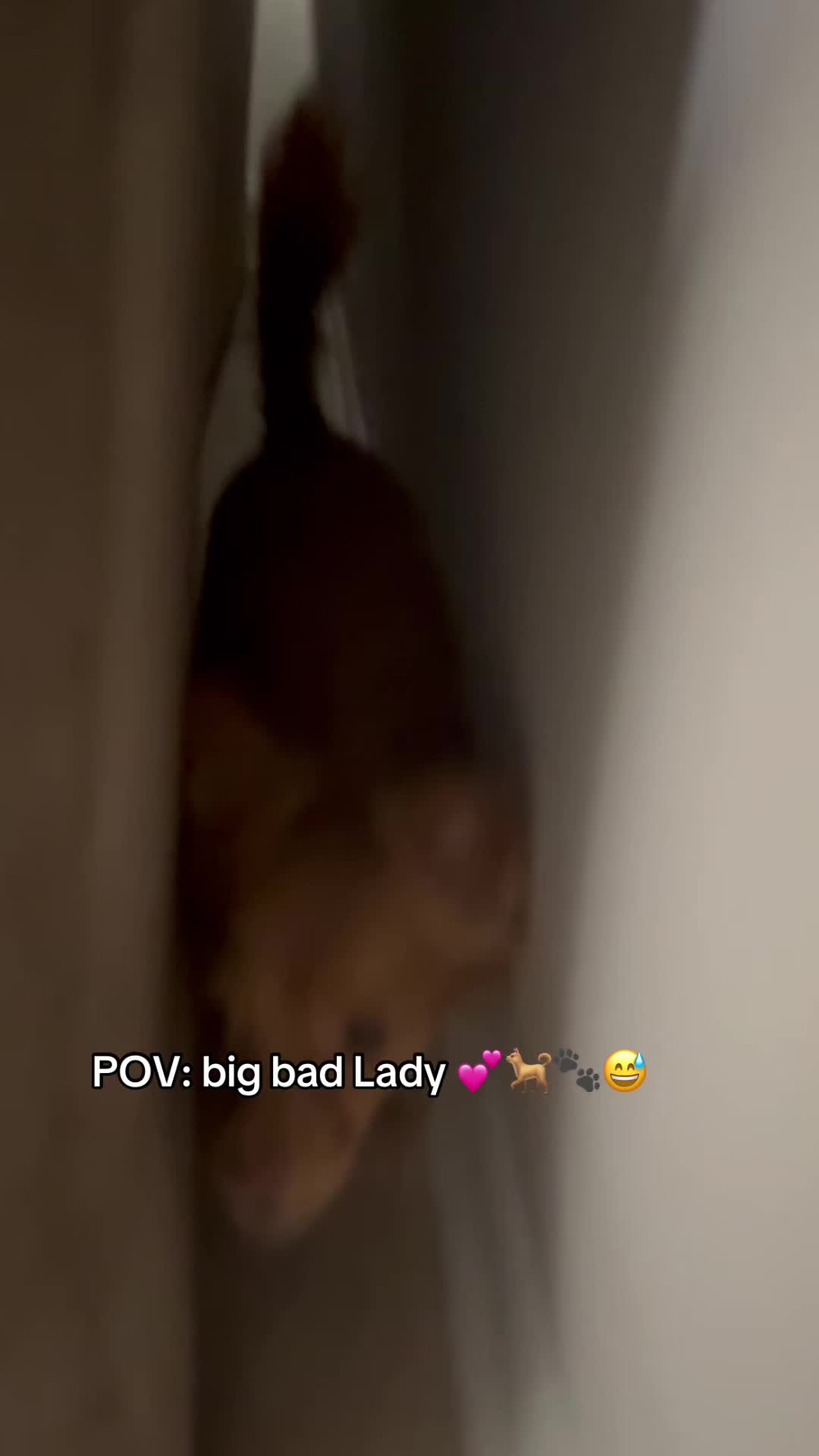 @it&rsquo;s Lady & Lisa