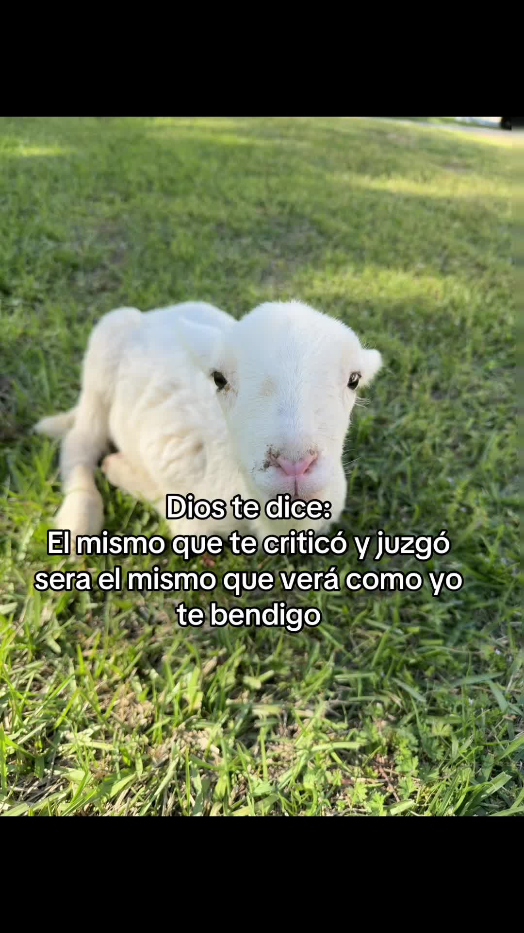 @❤️Marisol Coronado ❤️