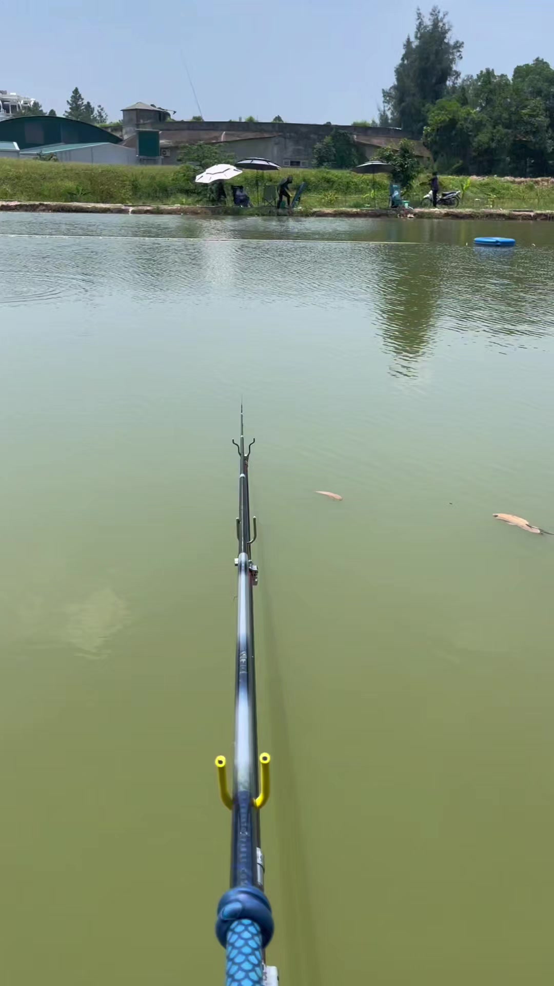 @Dũng Nguyễn Fishing