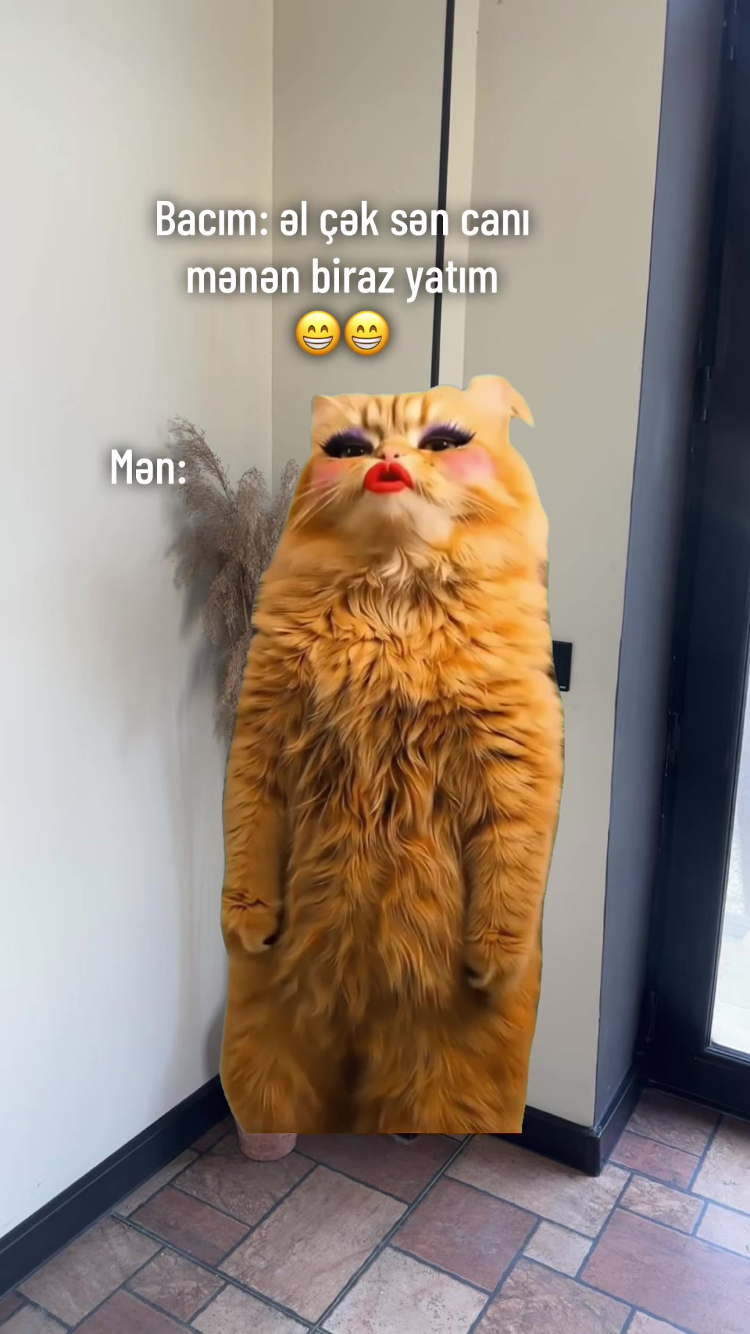 @♈️