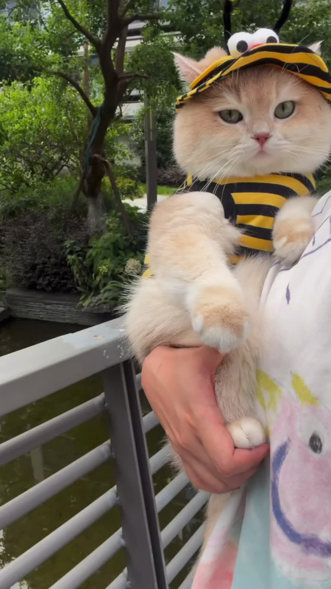 @My Daily Dose of Aww