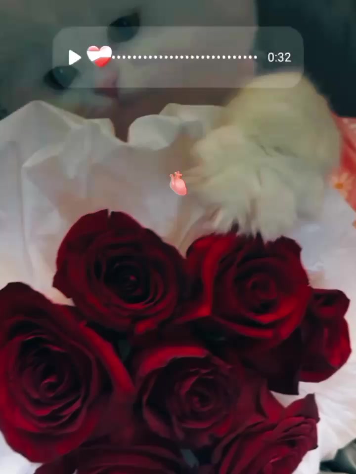 @🦋حواء&nbsp;🦋📿