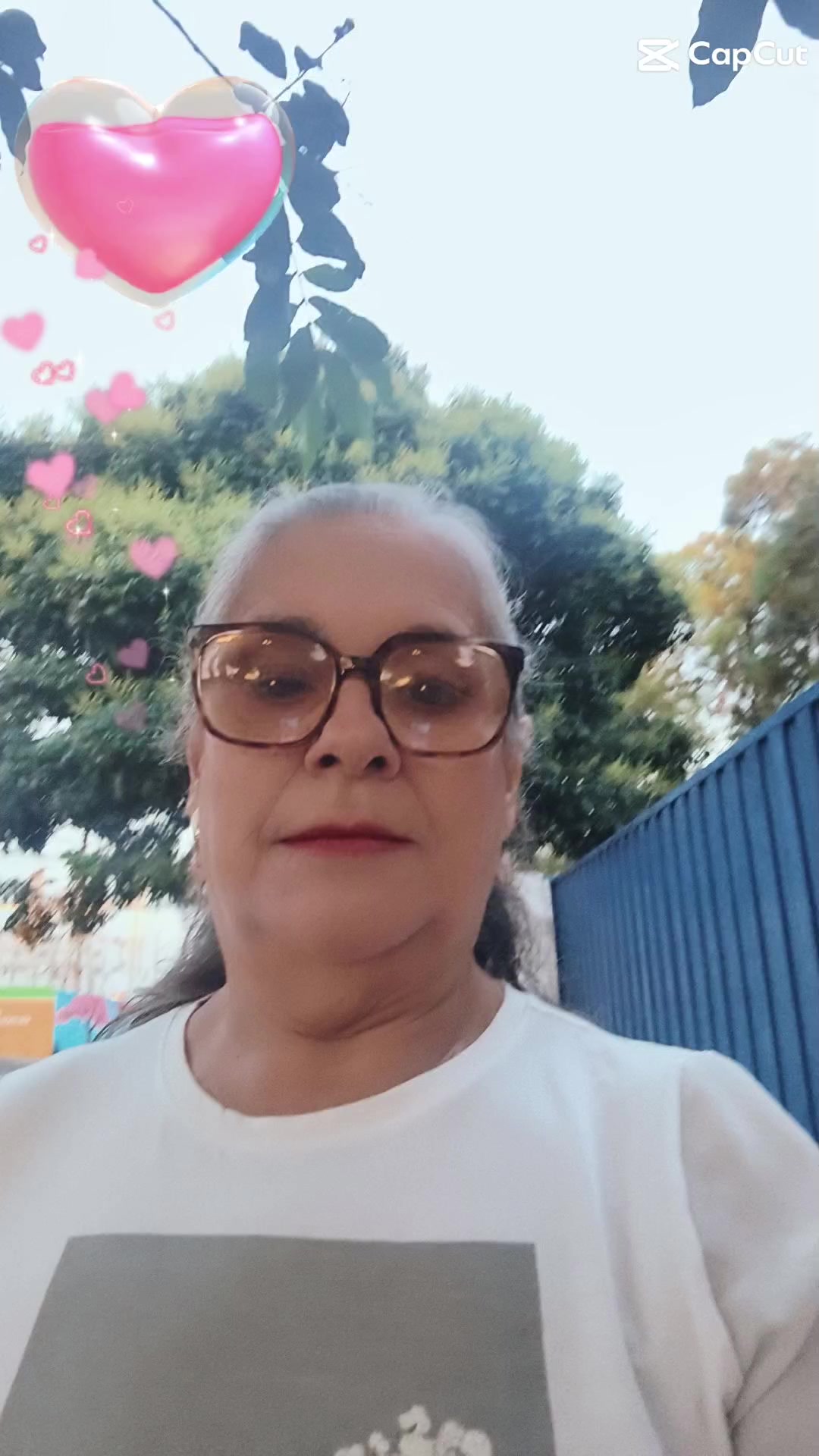 @Lucilia Viscardi