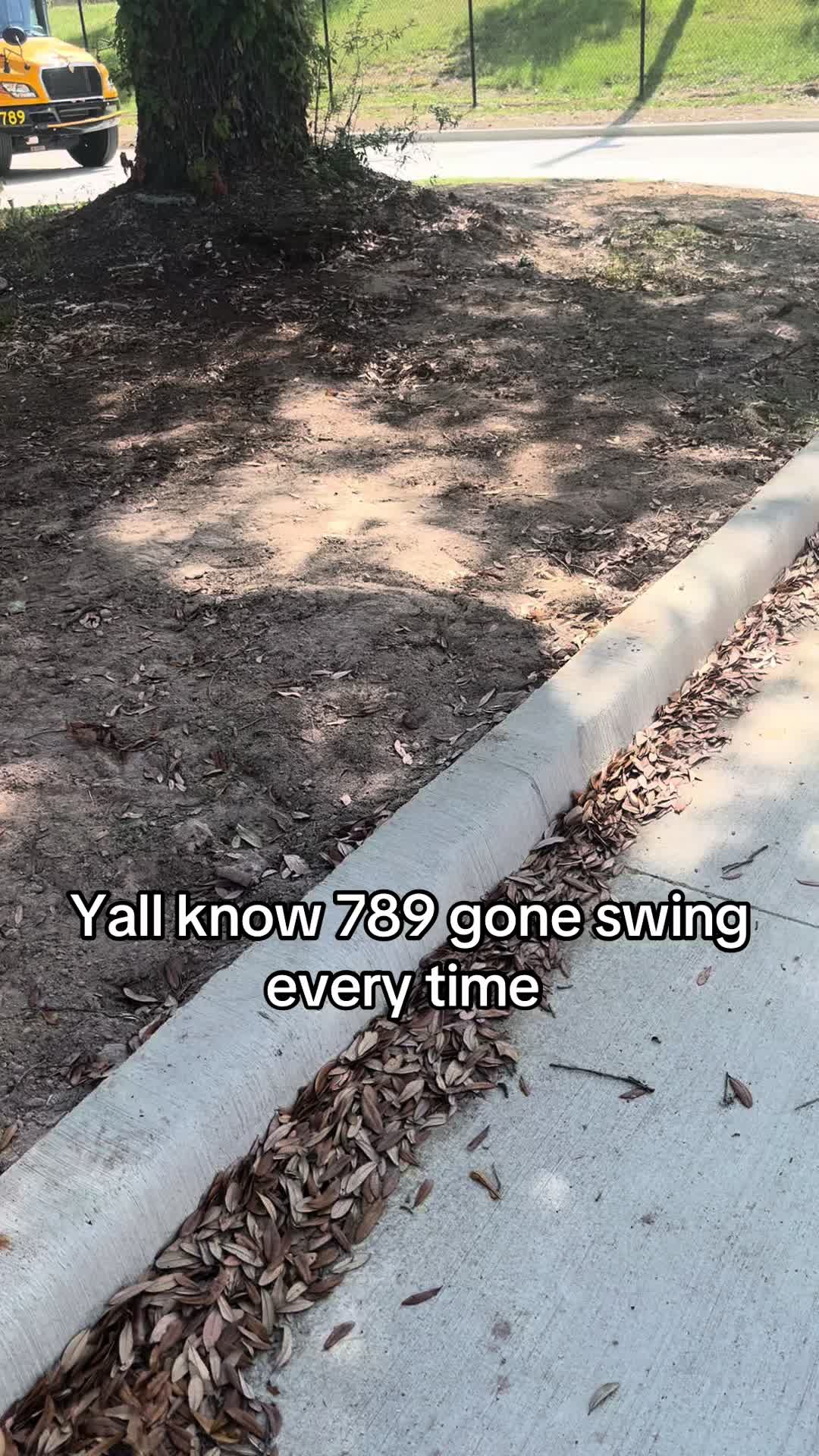 @Bluebirdbus302