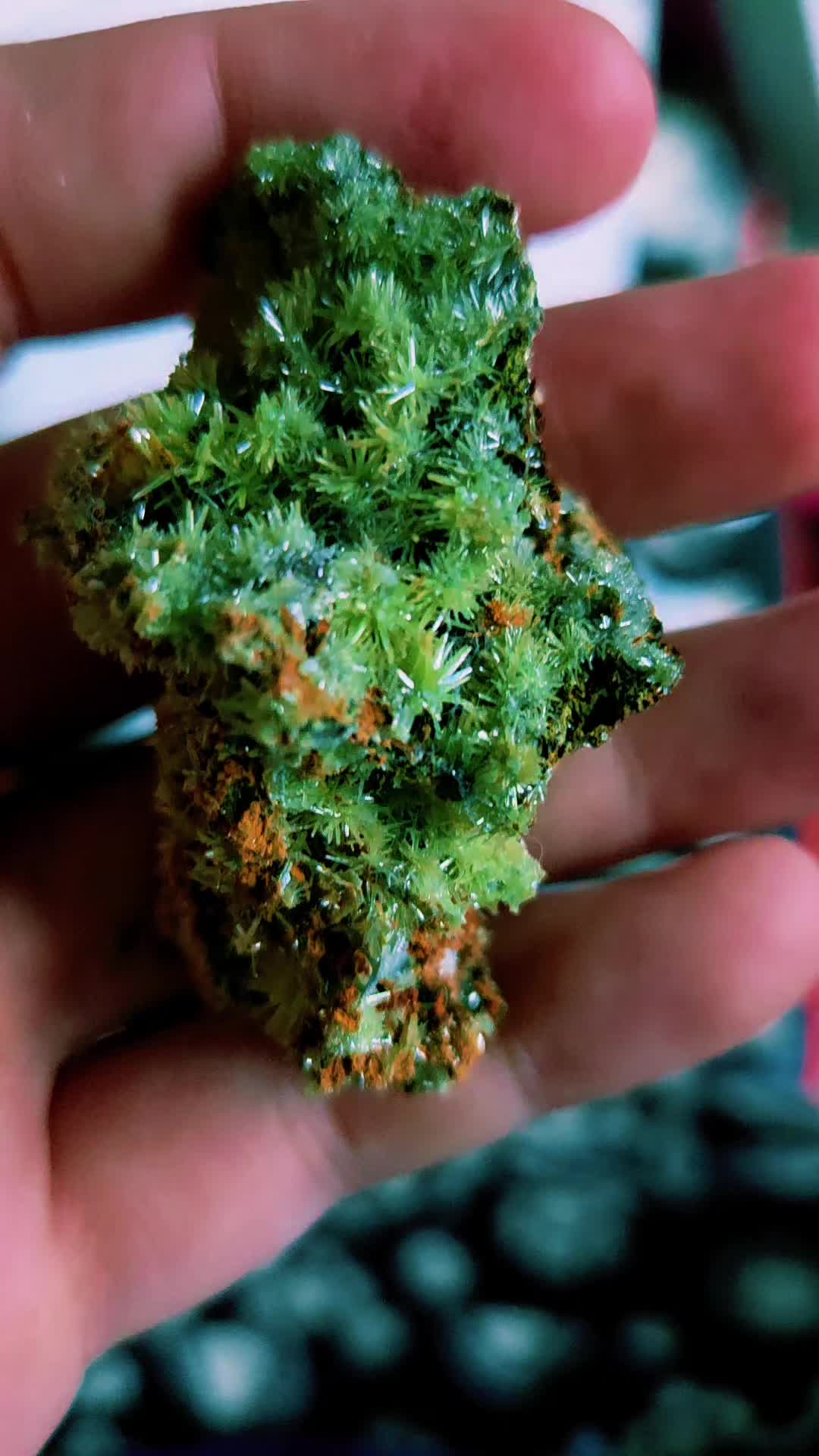 @natures.glitter