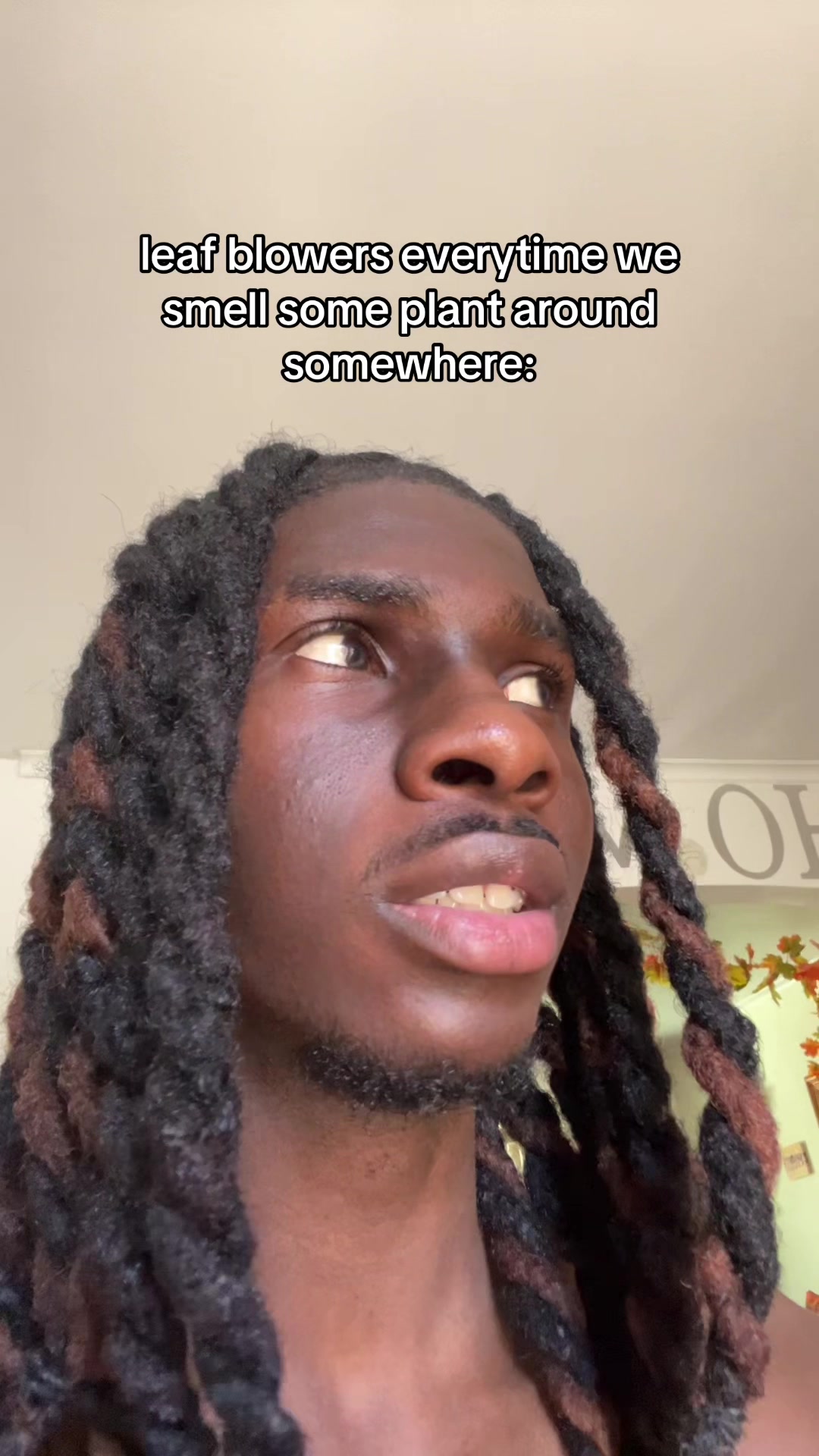 @290viceroy𓋹