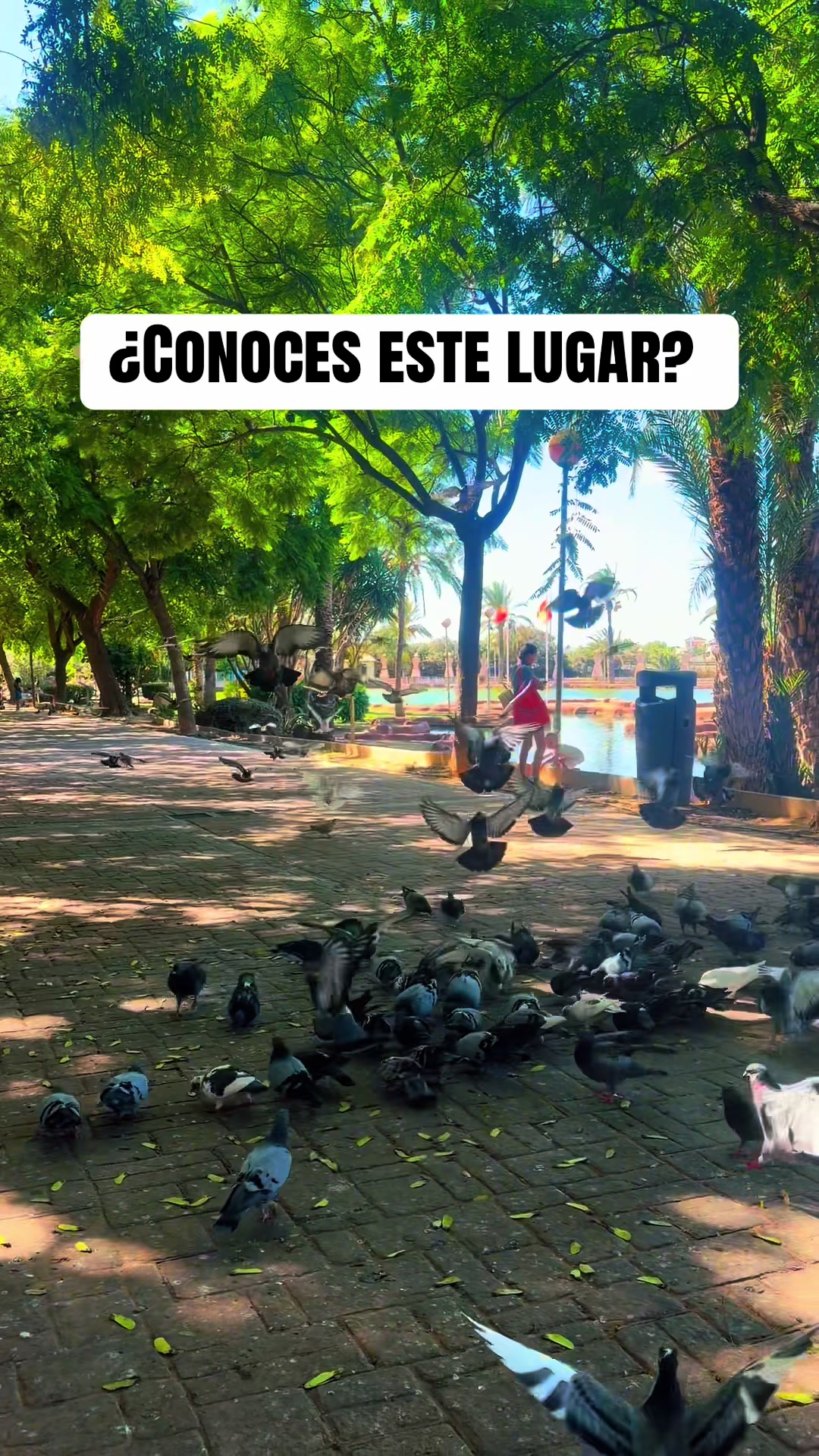 @rentacarpilardelahoradad