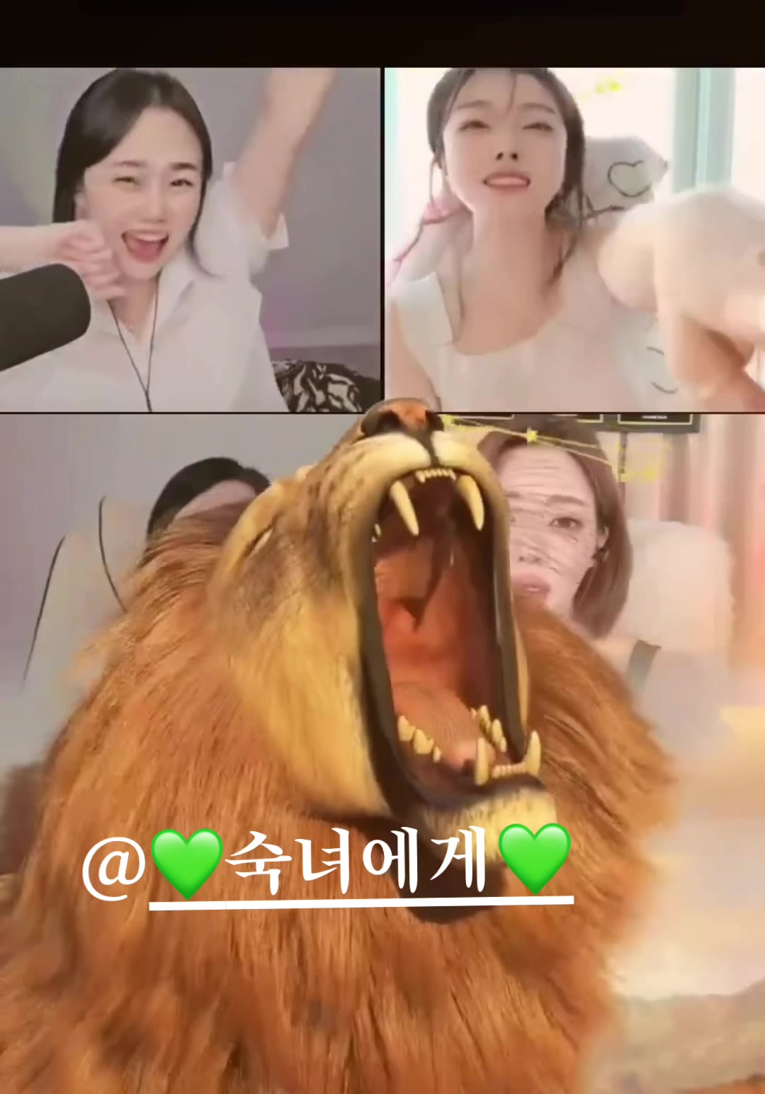 @샤댕이❦⋆
