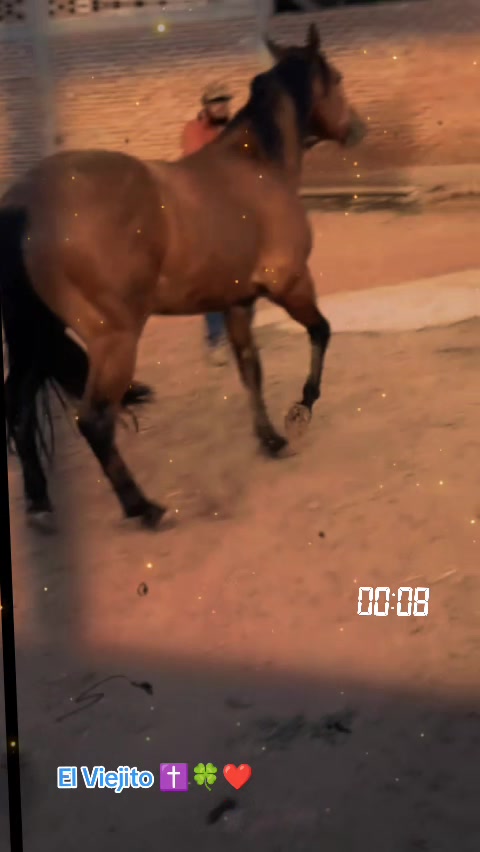@Viejito Cordova✝️🍀❤️🐎🦅