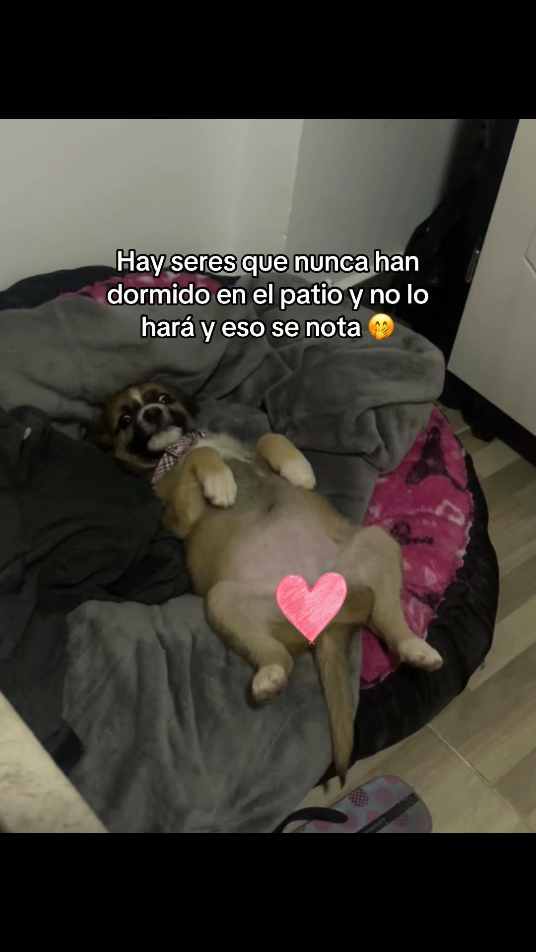 @Ale🌸