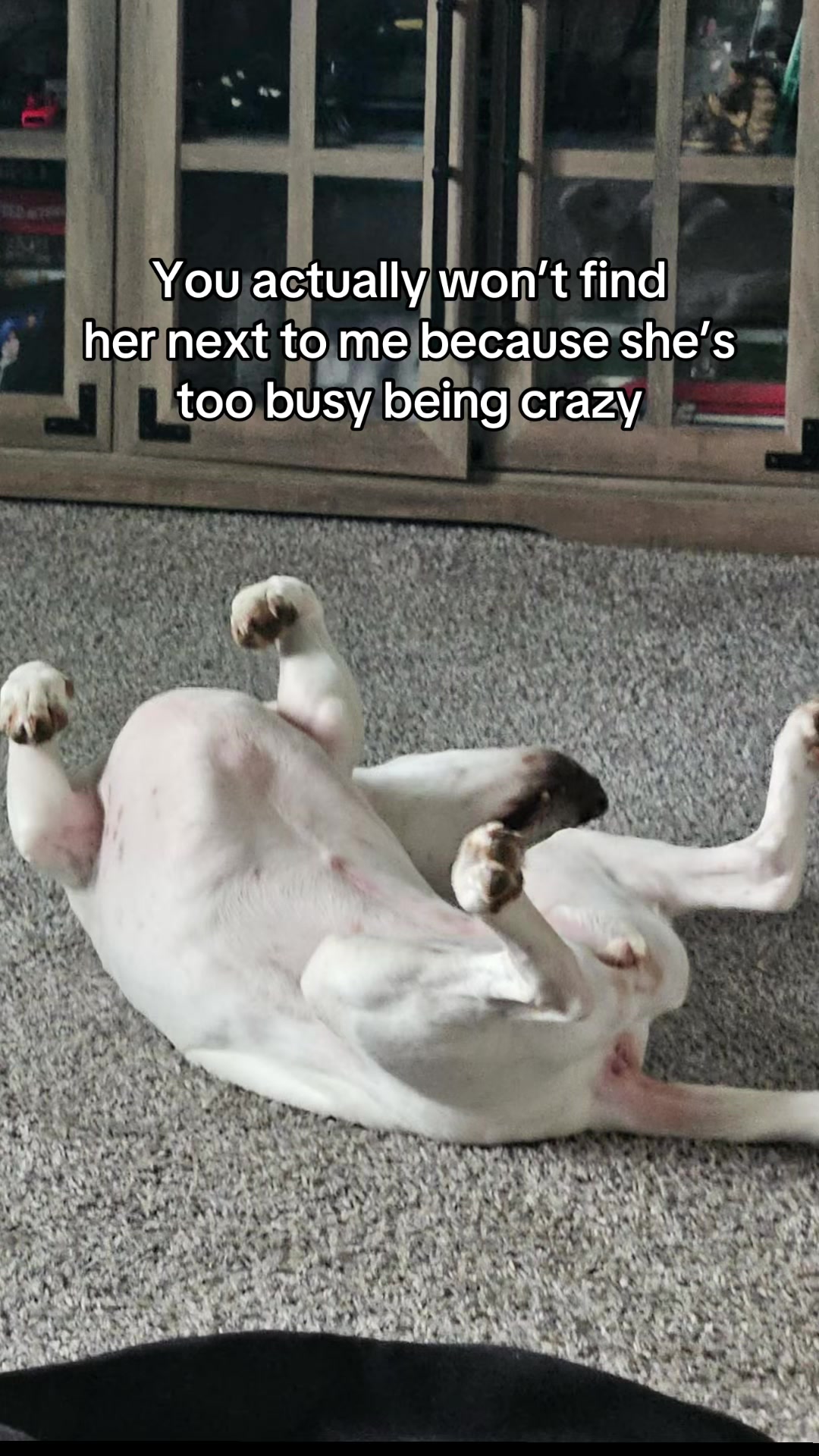 @Sproutie 🐶