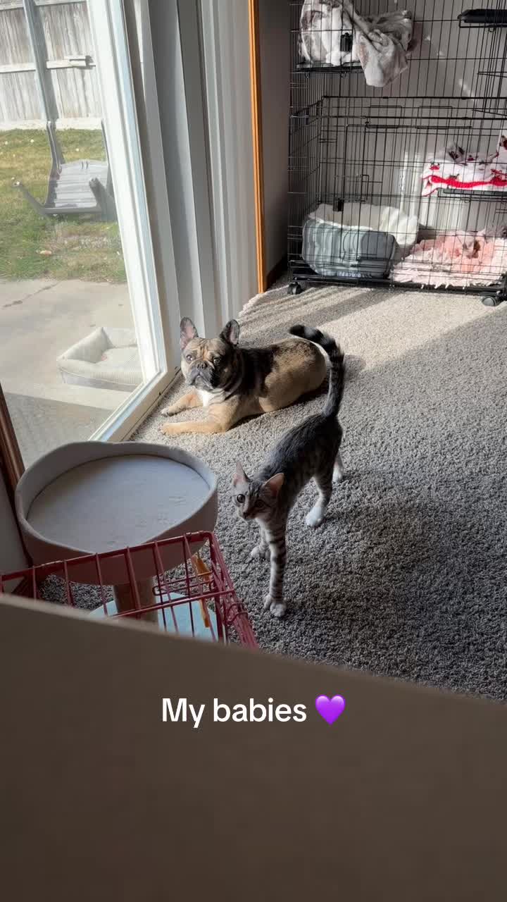 @idahogirl116