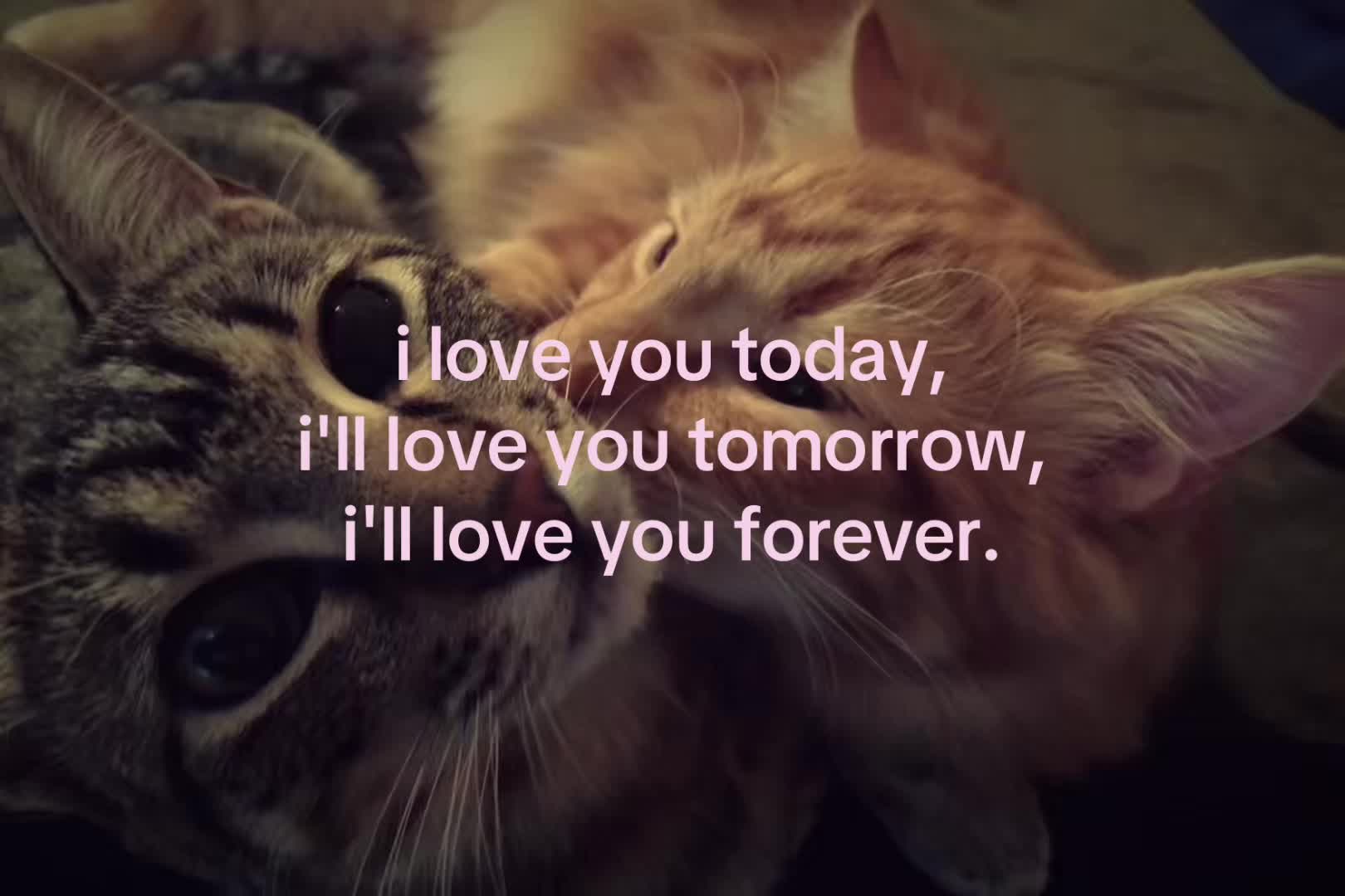 @sxalenz