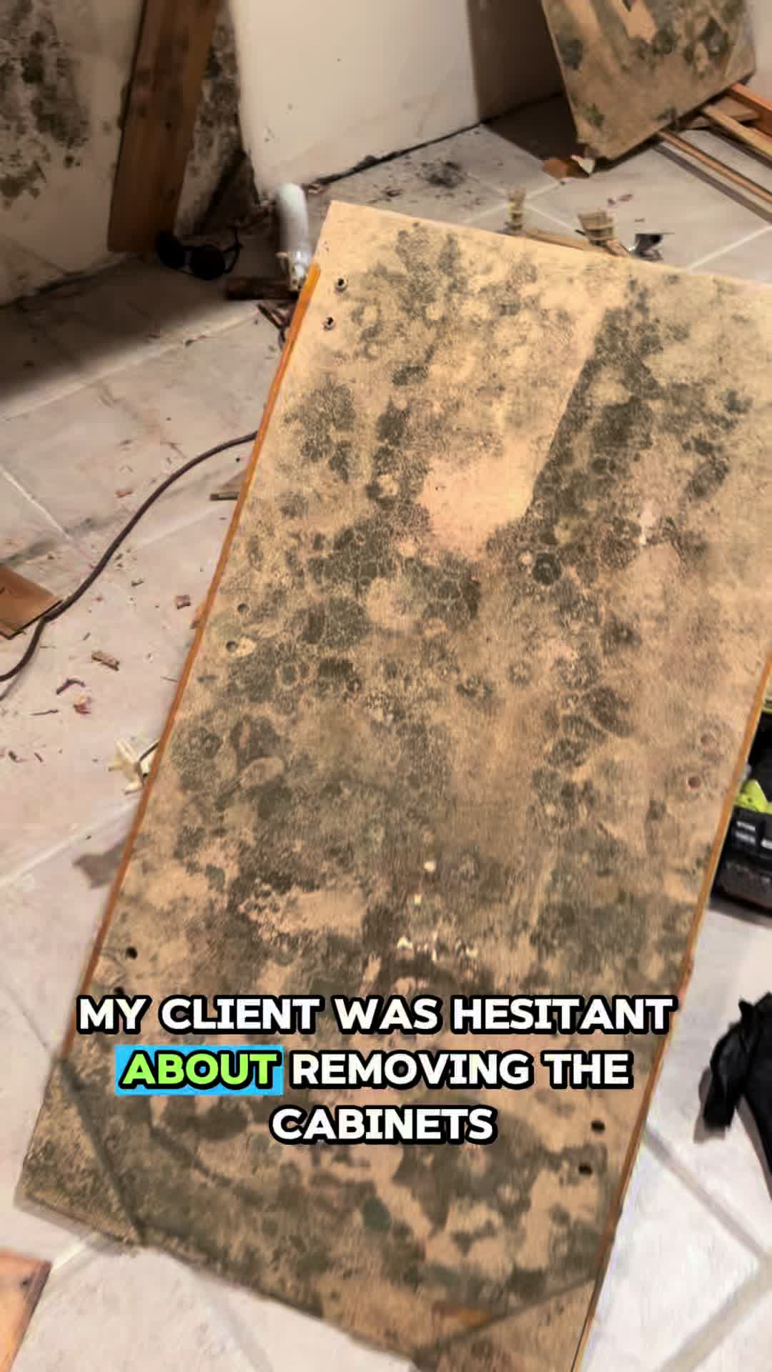@Long Island Mold Guy