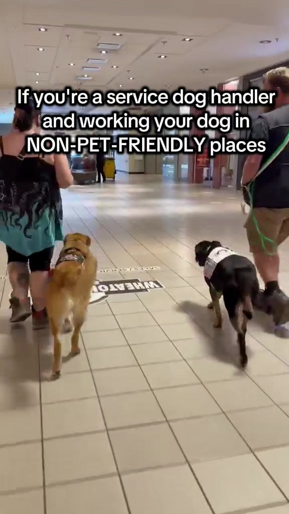 @Kairo's K9s Training 🇨🇦