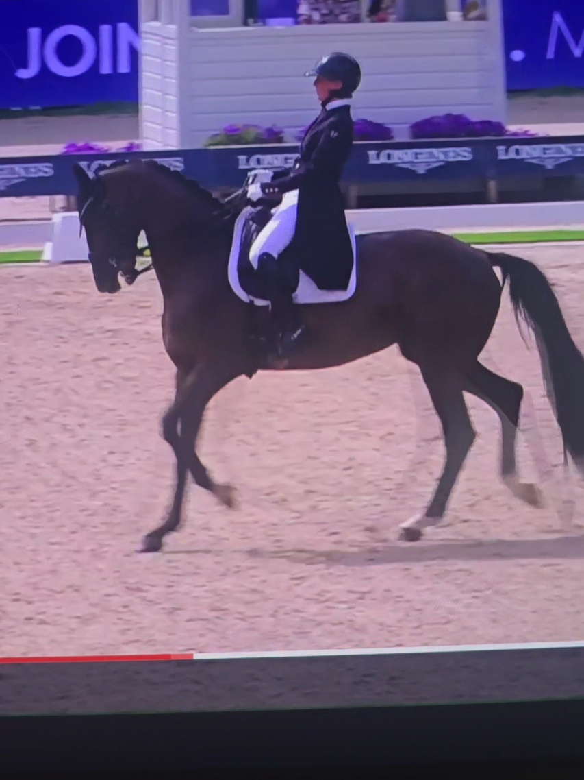 @DressageHub