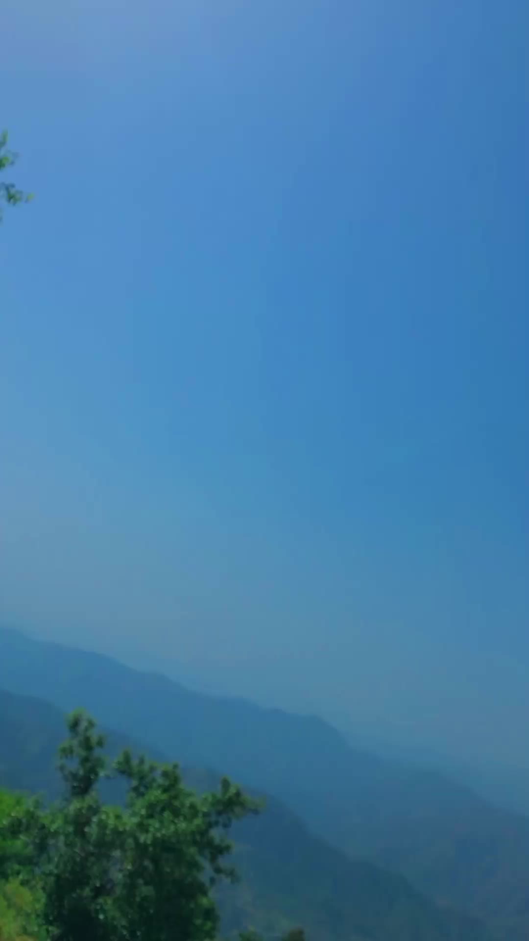 @★彡[ᴢᴍ ʙʀᴀɴᴅ]彡★