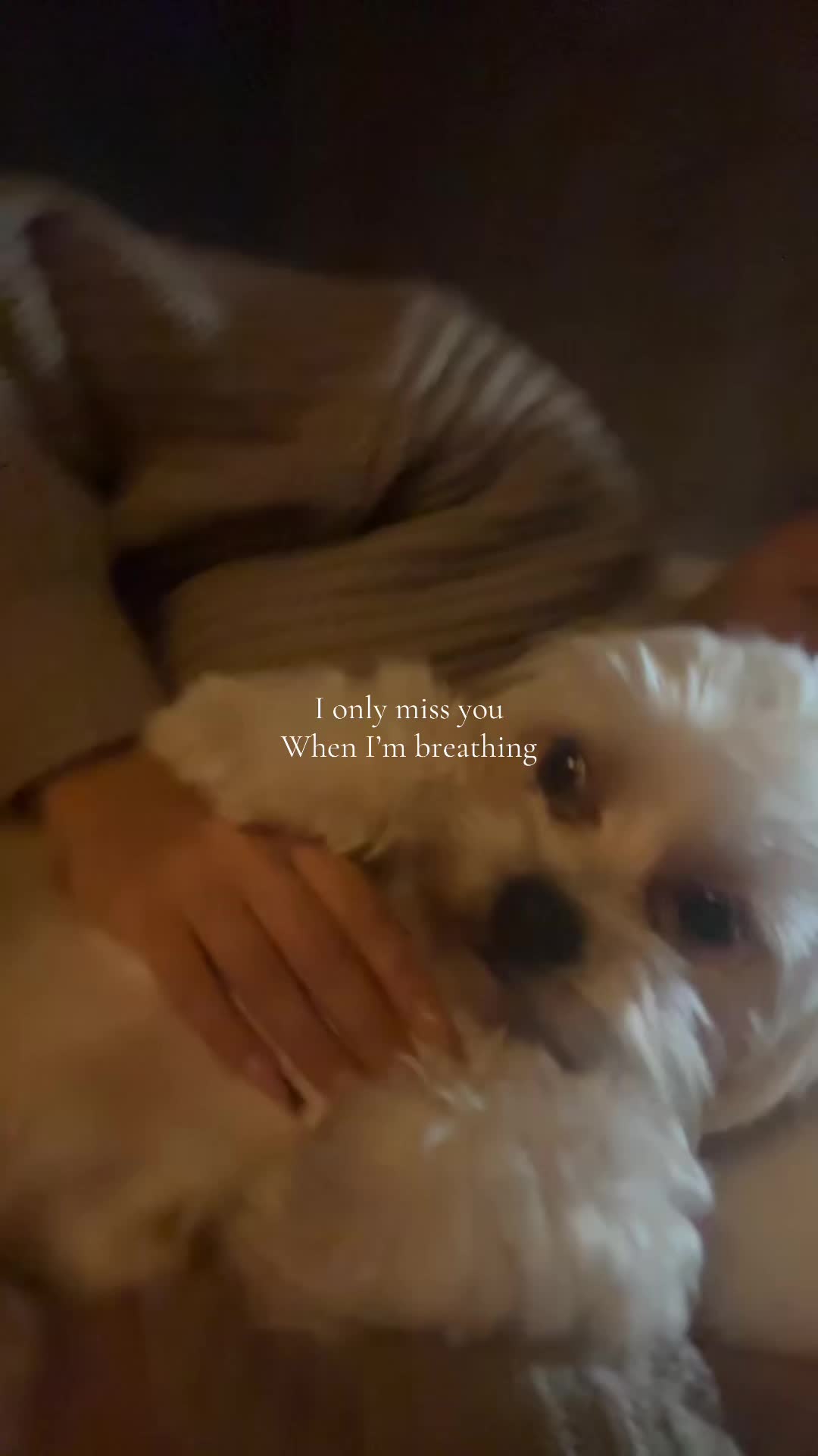 @Alyahnna ౨ৎ