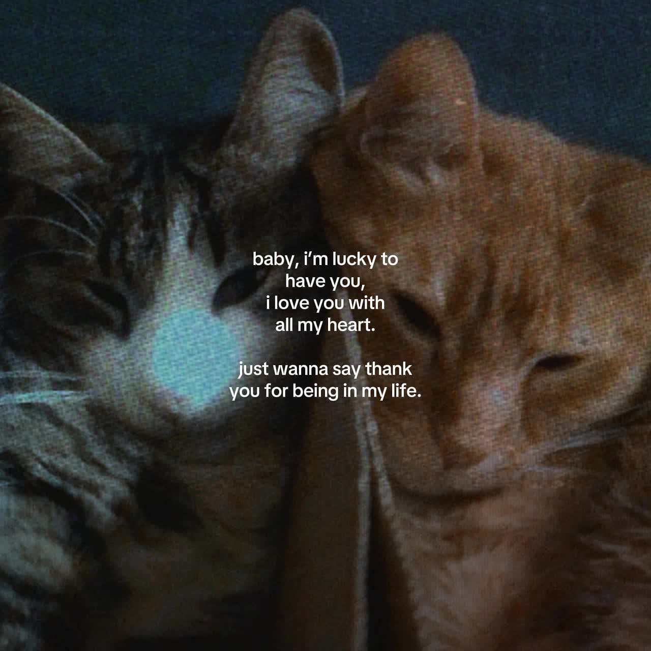 @Spotify: LXNYA