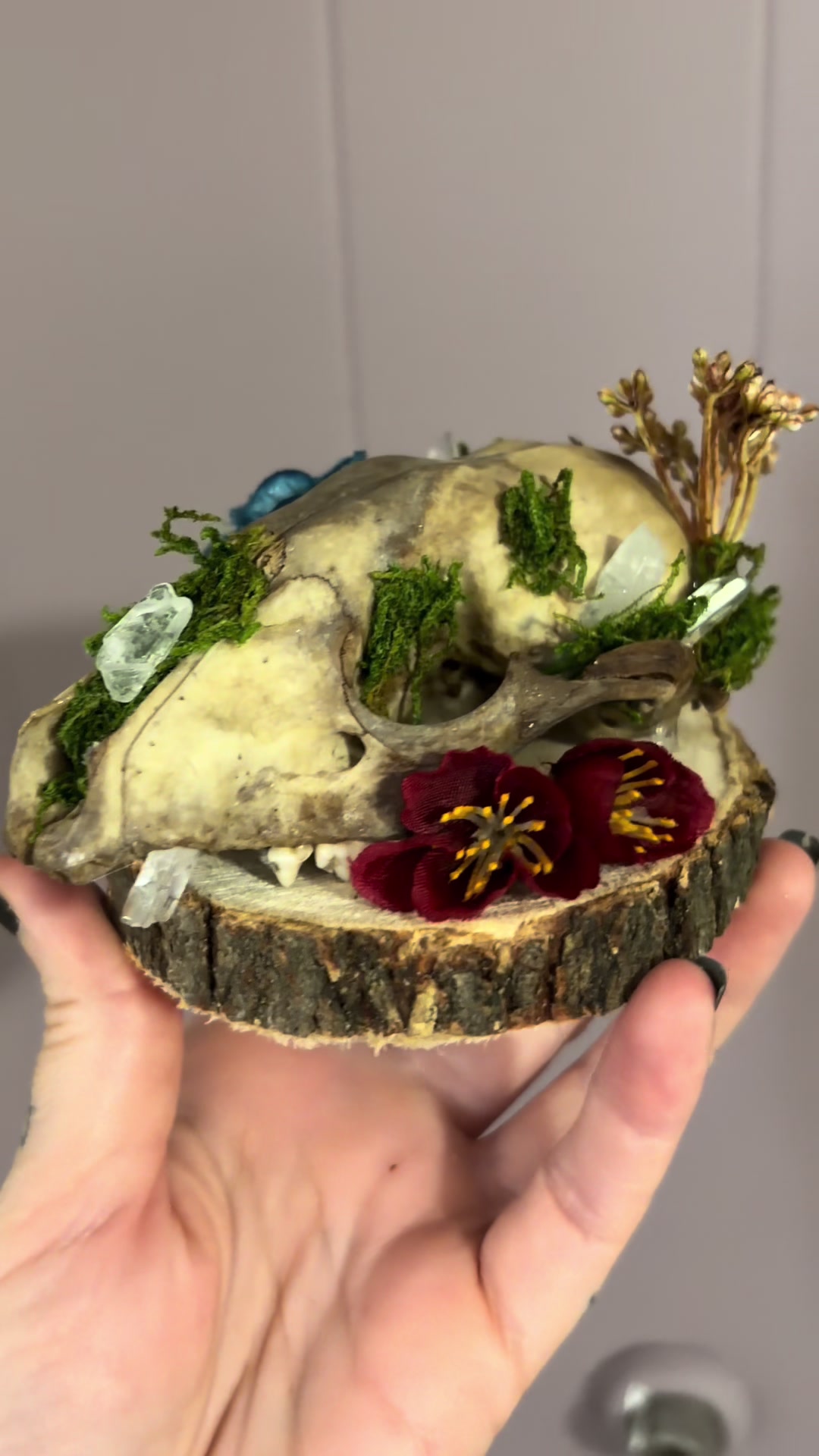 @Foxglove Bonecrafts