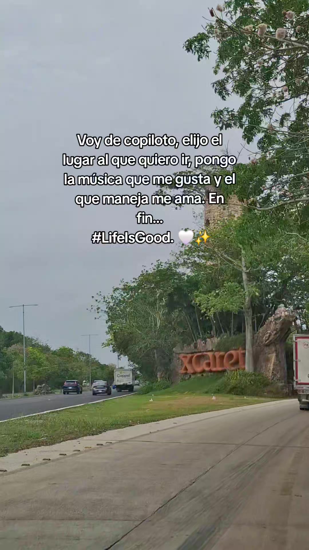 @Sarahi Huijara