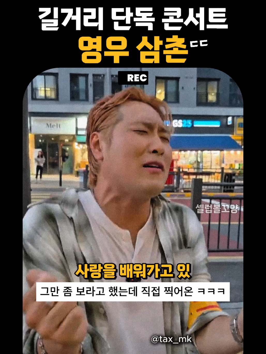 @셀럽볼꼬양