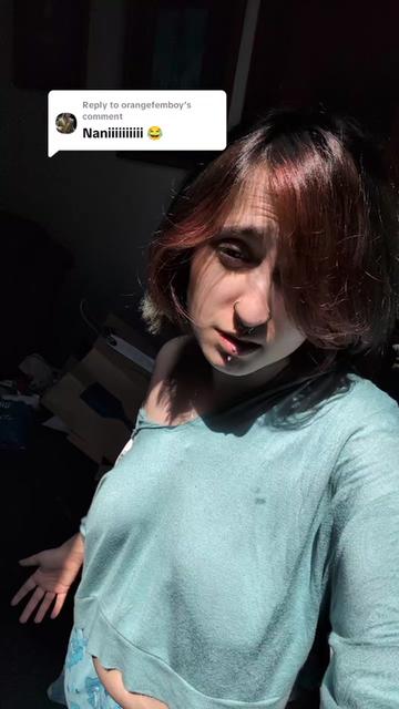 @DinoNuggetsRevenge