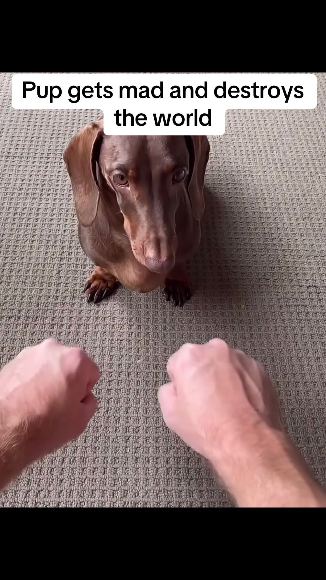 @dajonwhatt