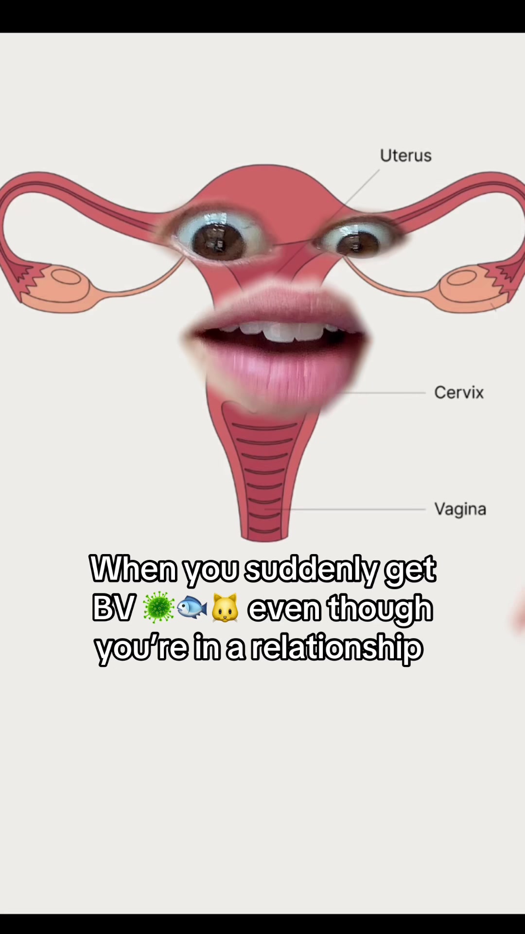 @Evvy