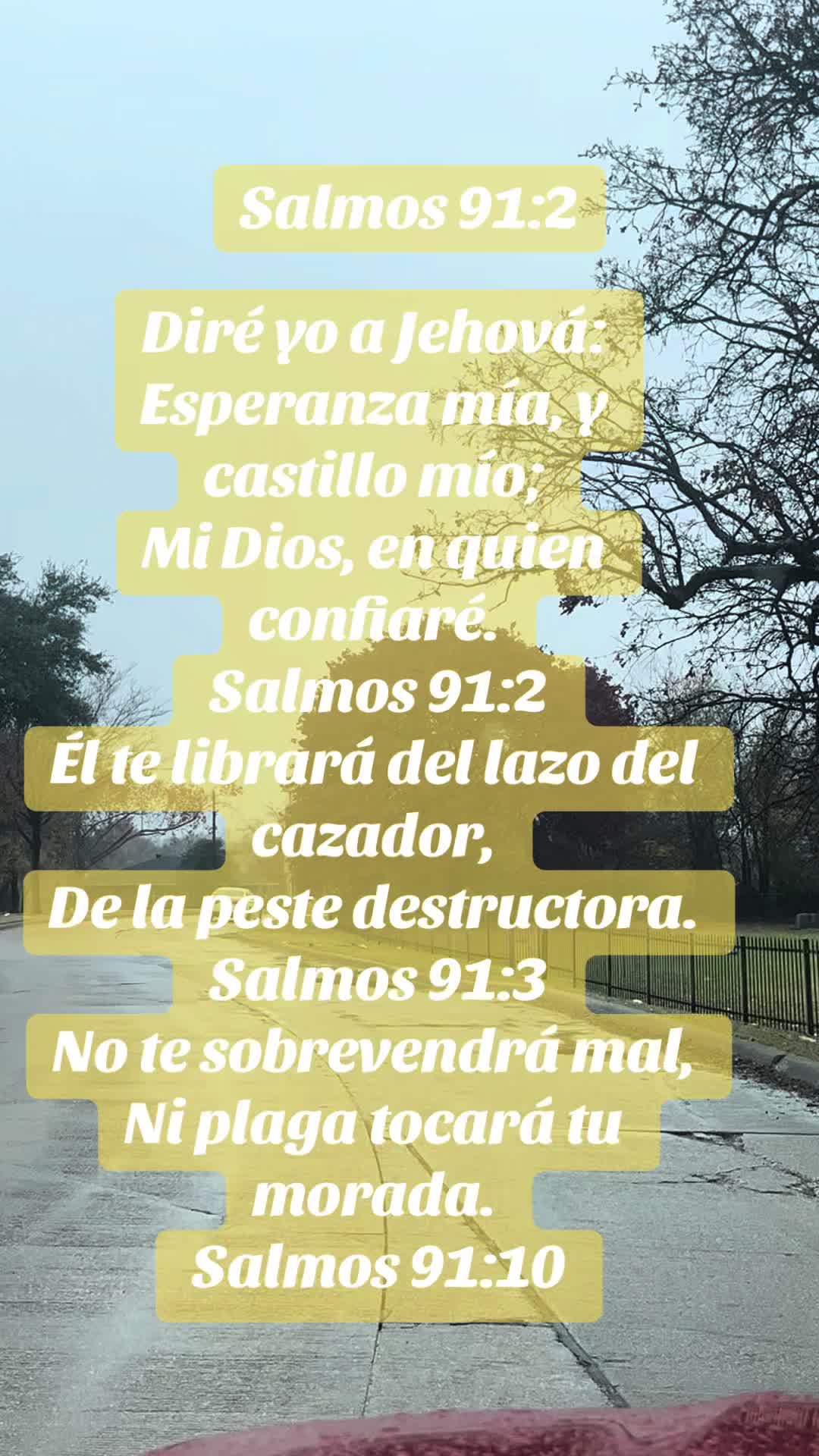 @Curiosidades con jani.com