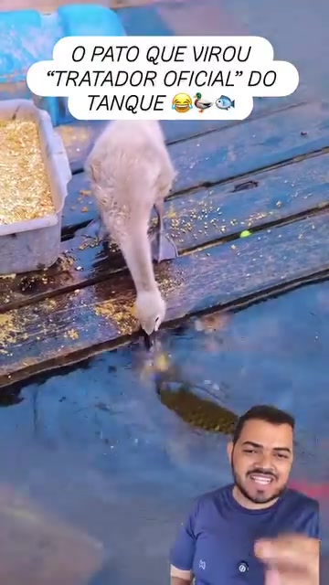 @Obrasilense