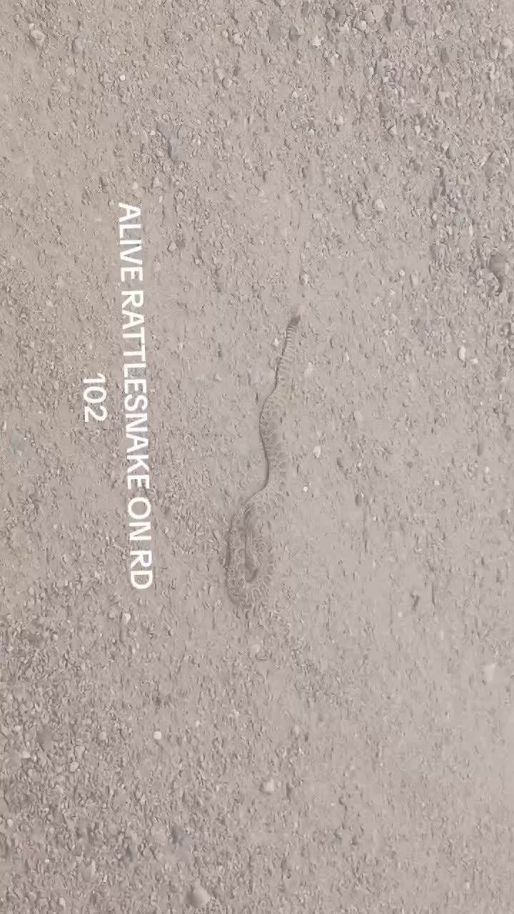 @truck