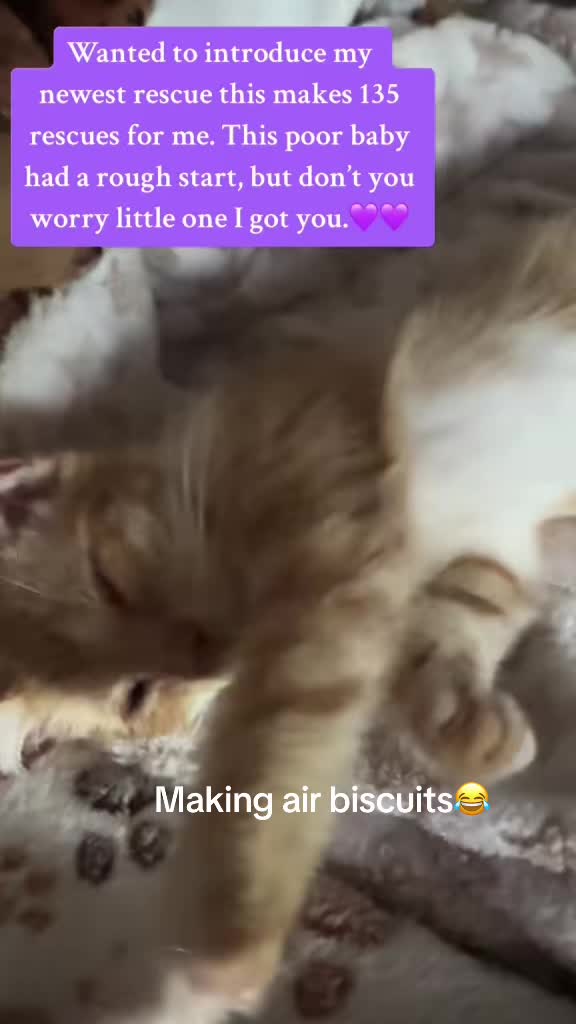 @💜❌Happytails❌💜