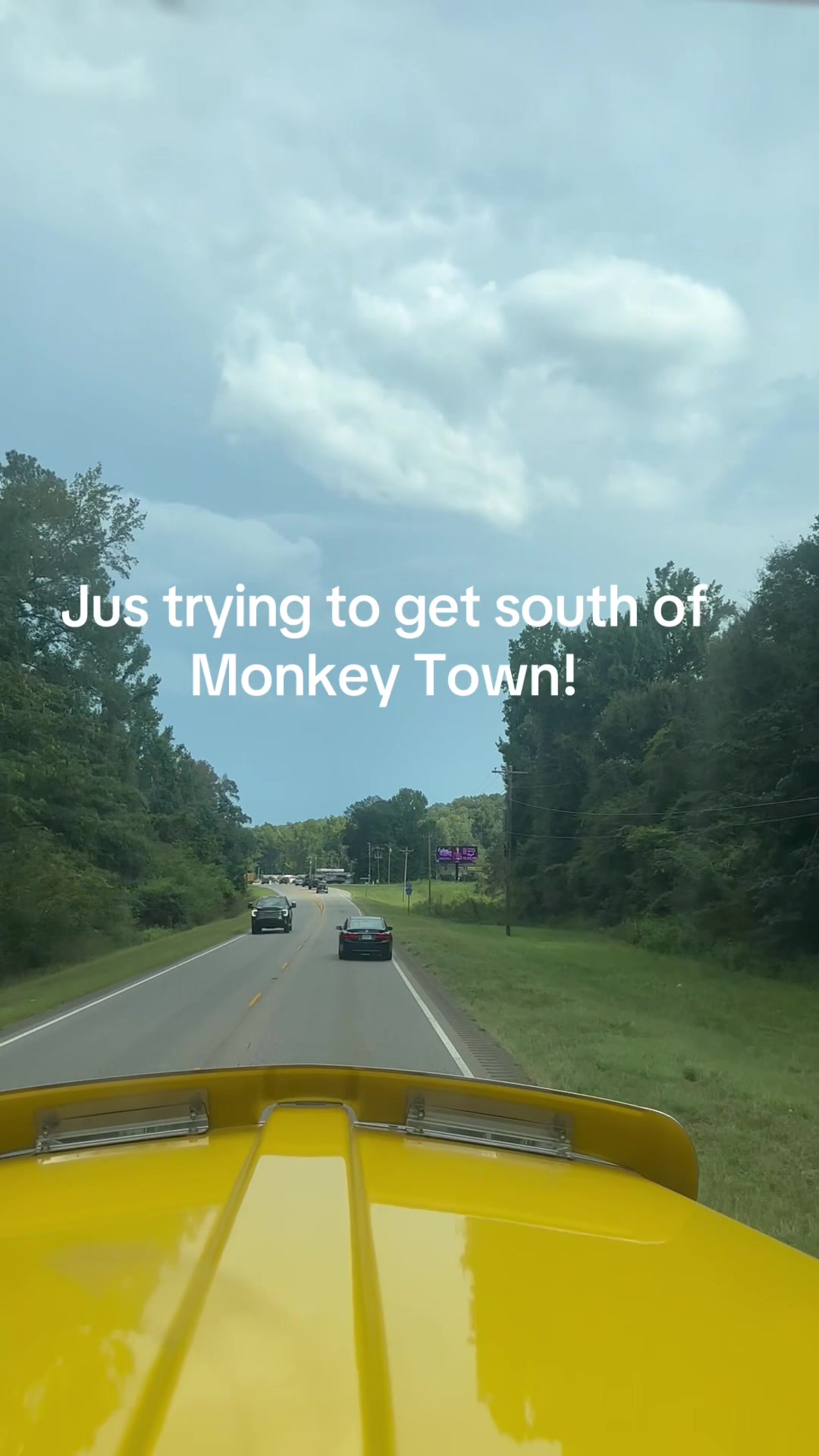 @Mullet
