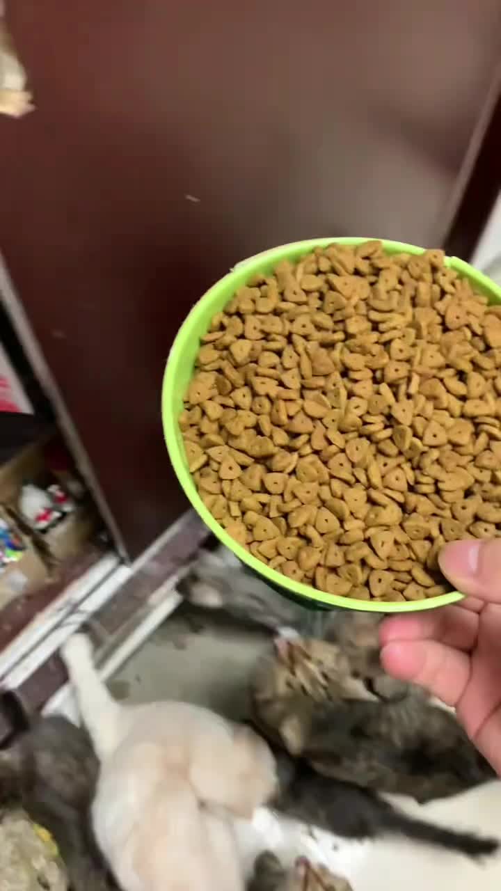 @ariatk