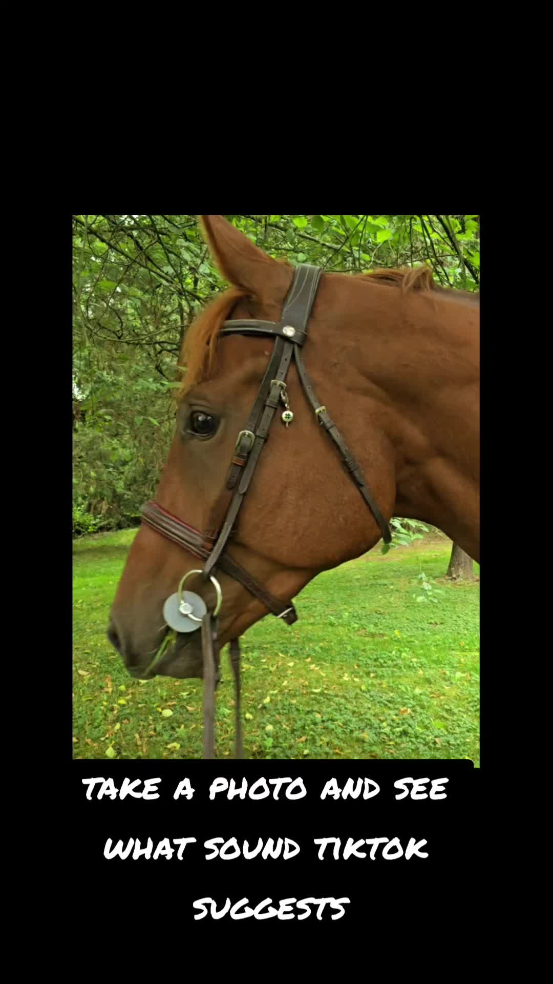 @flybabyfoals