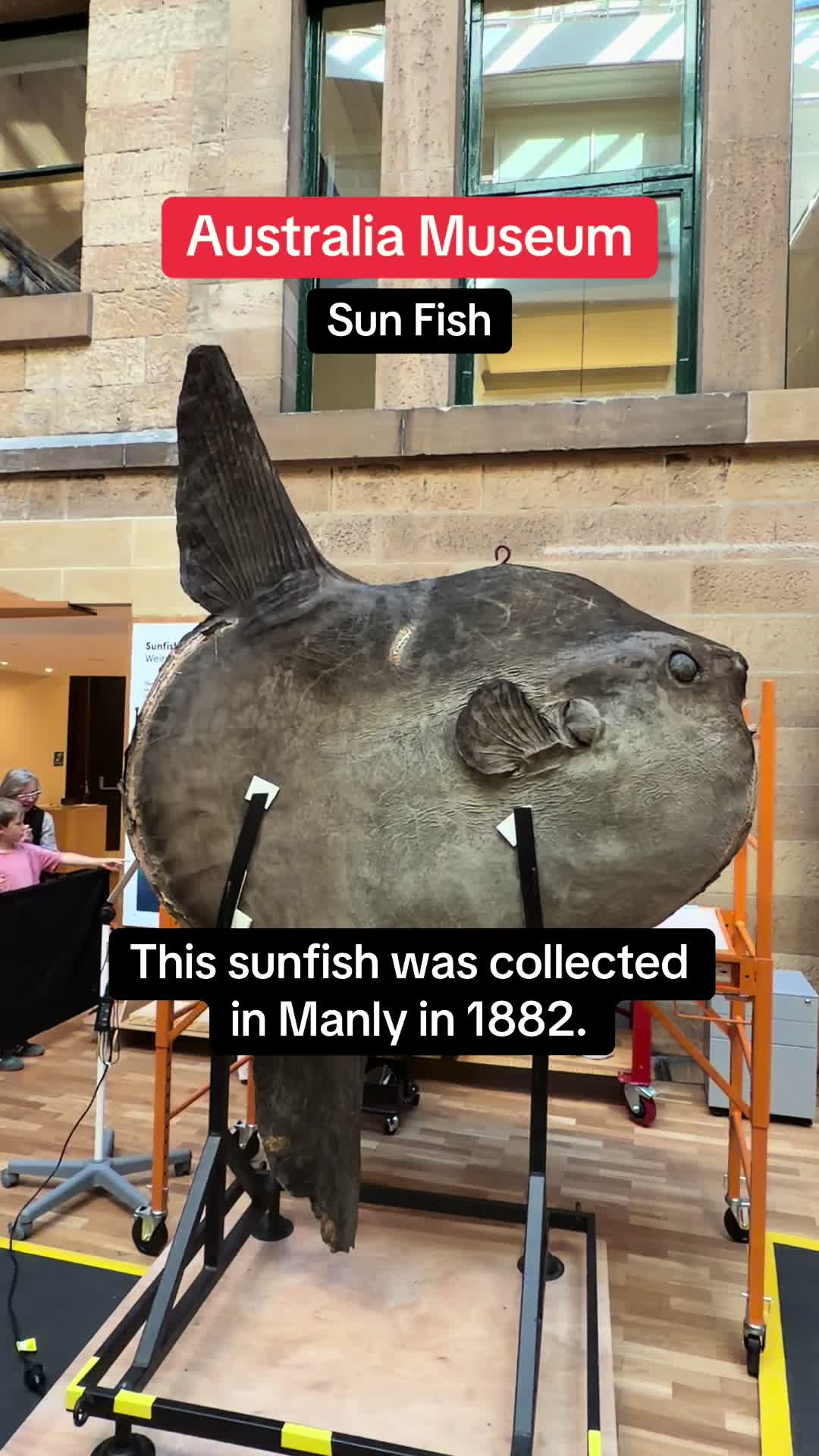 @Visit Sydney