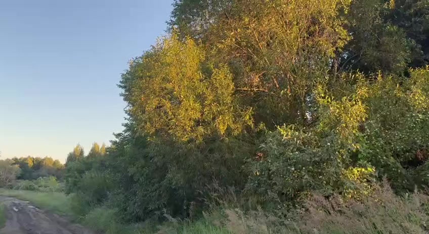 @варя