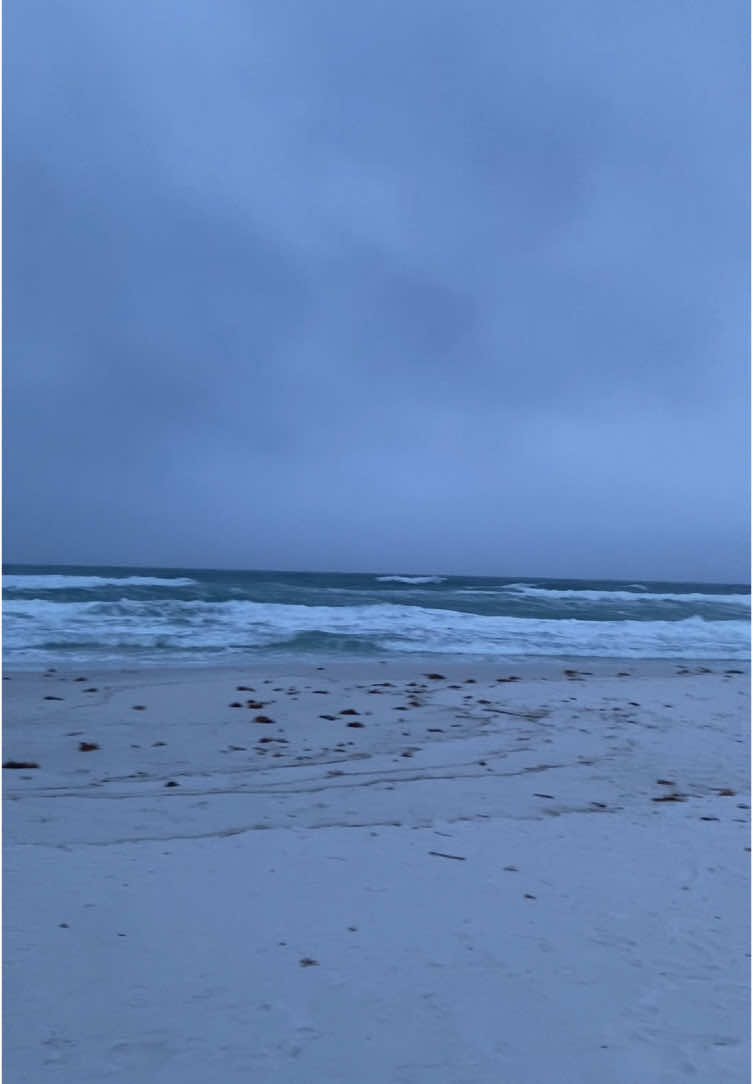 @layla walker🍂🧺🫎🪵