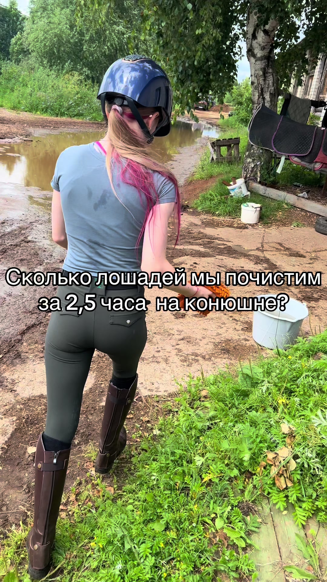 @Ли🐴