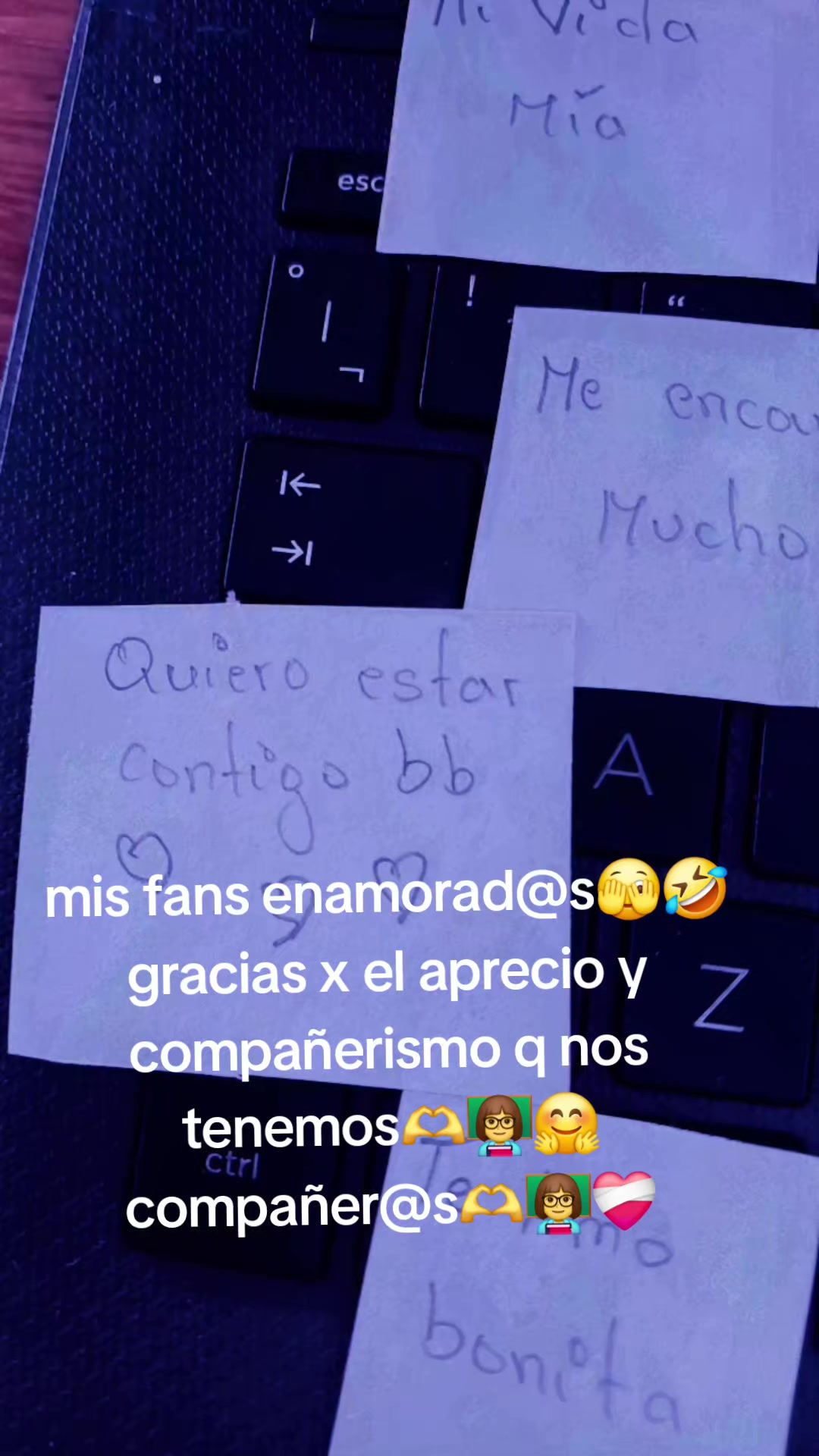 @fiorelita