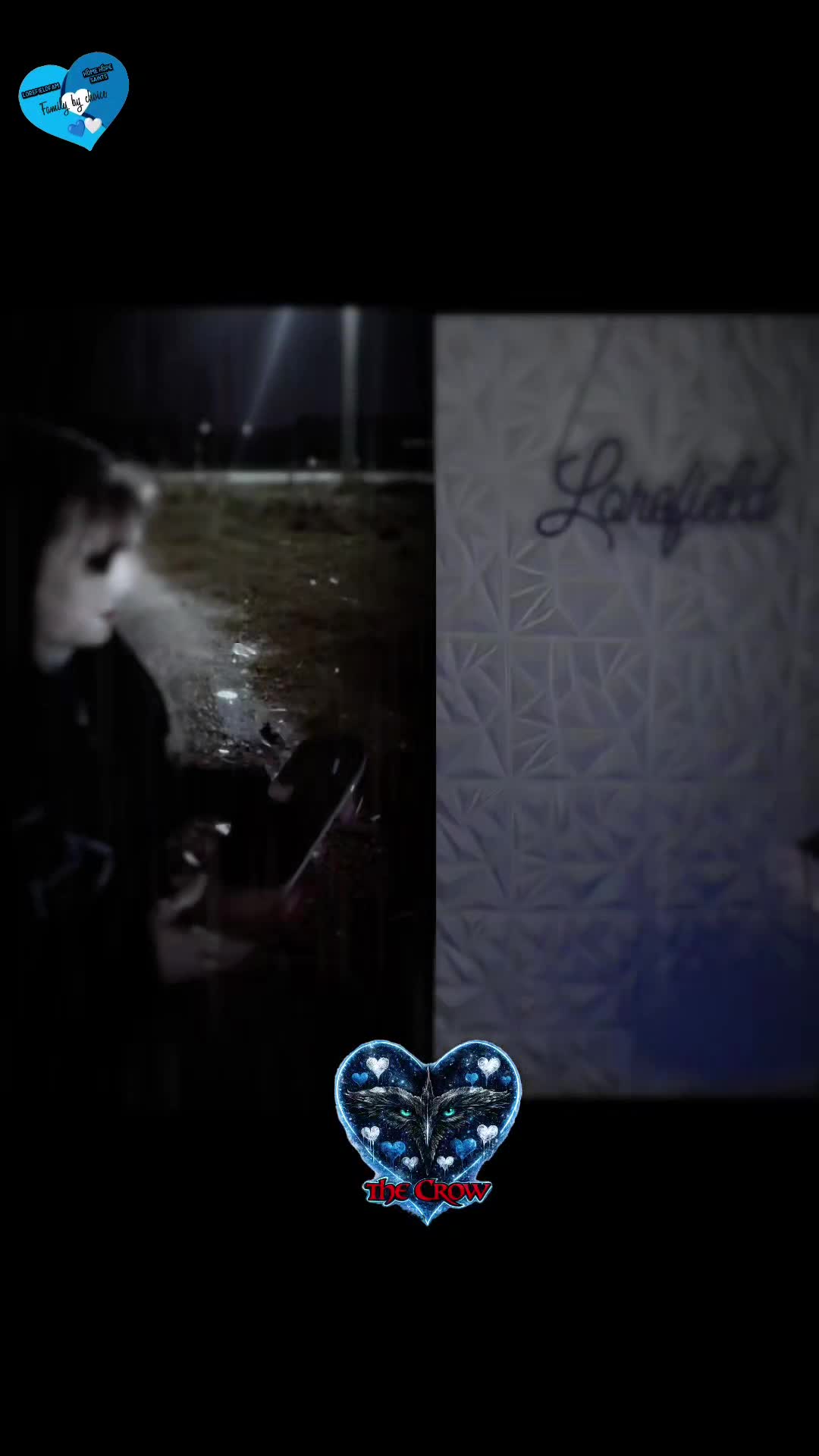 @💙🤍🤟🏼🌻❌HeidiBug❌🌻🤟🏼🤍💙