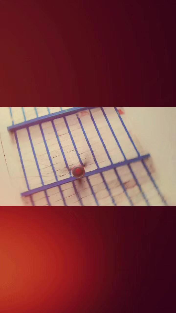 @👑Sajeel SaJu Malik👑