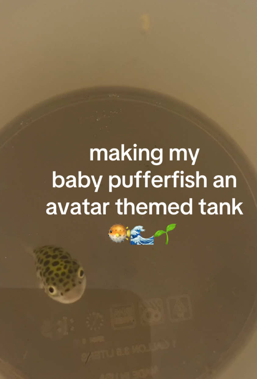 @Anna Katherine 💌