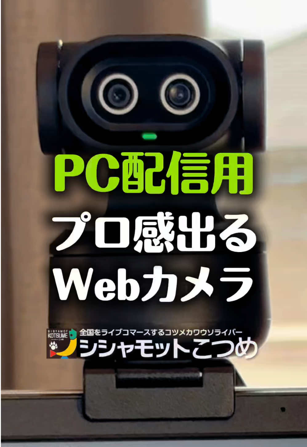 @博多のこつめ社長🎙️🦫忖度なし〜謎のシシャモットこつめ〜