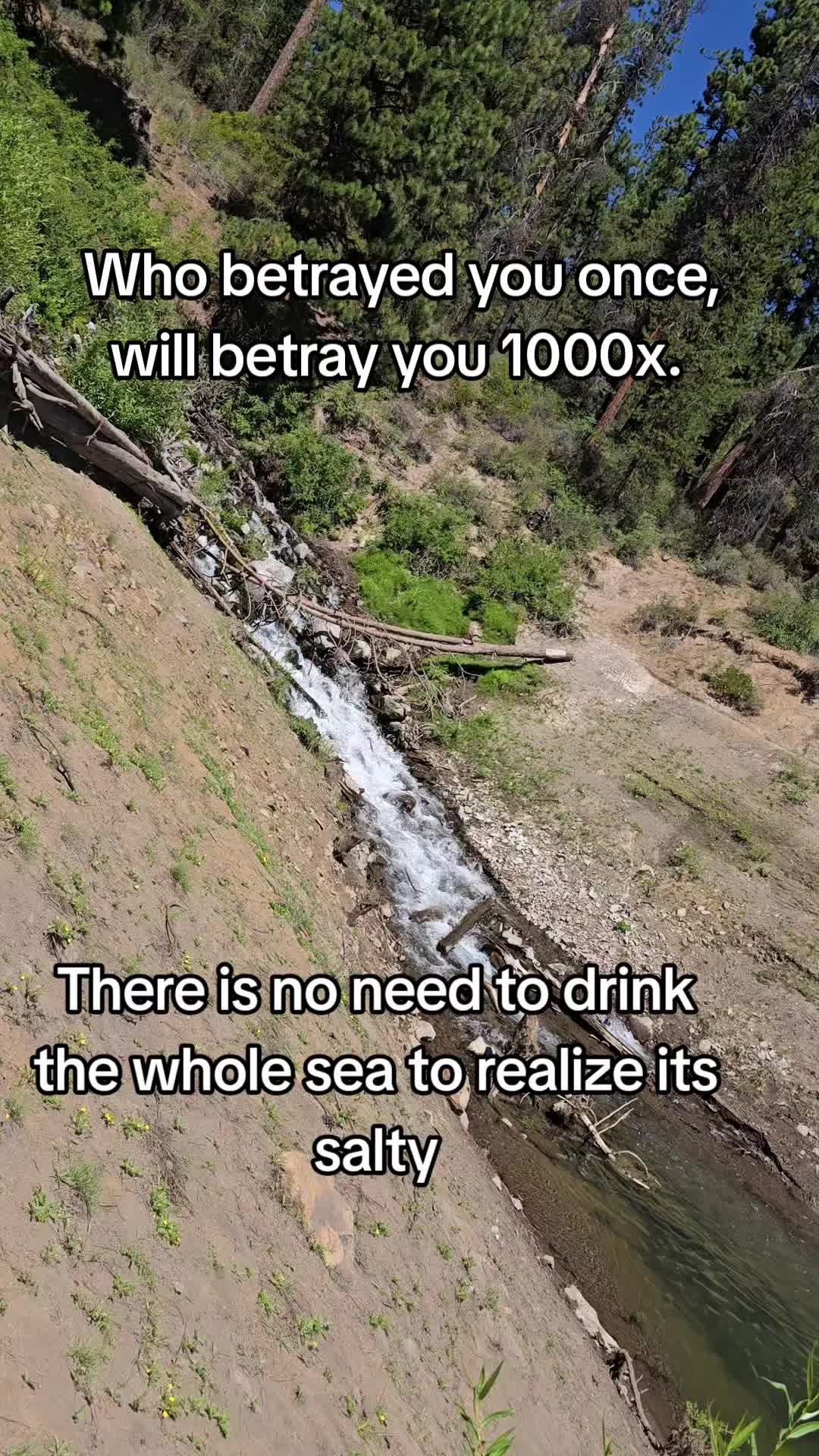 @Sarah