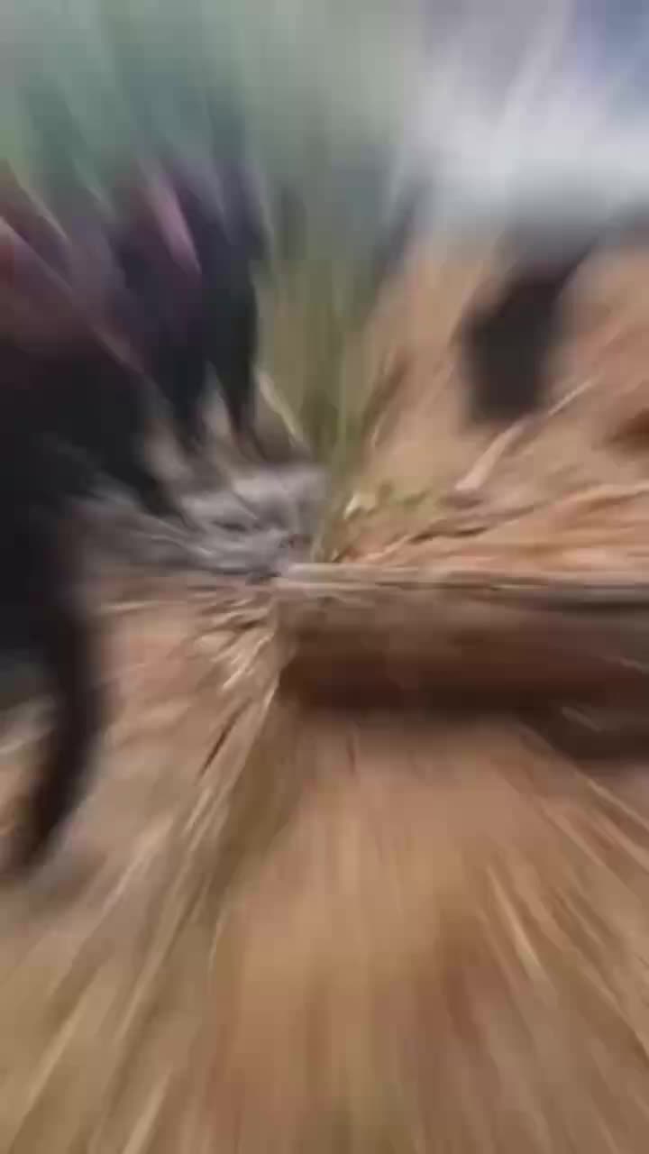 @INTERESTING VIDEO'S