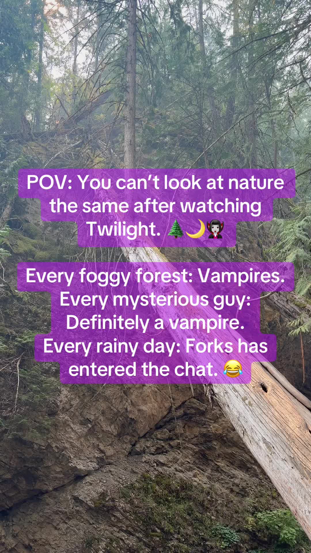 @leewest888