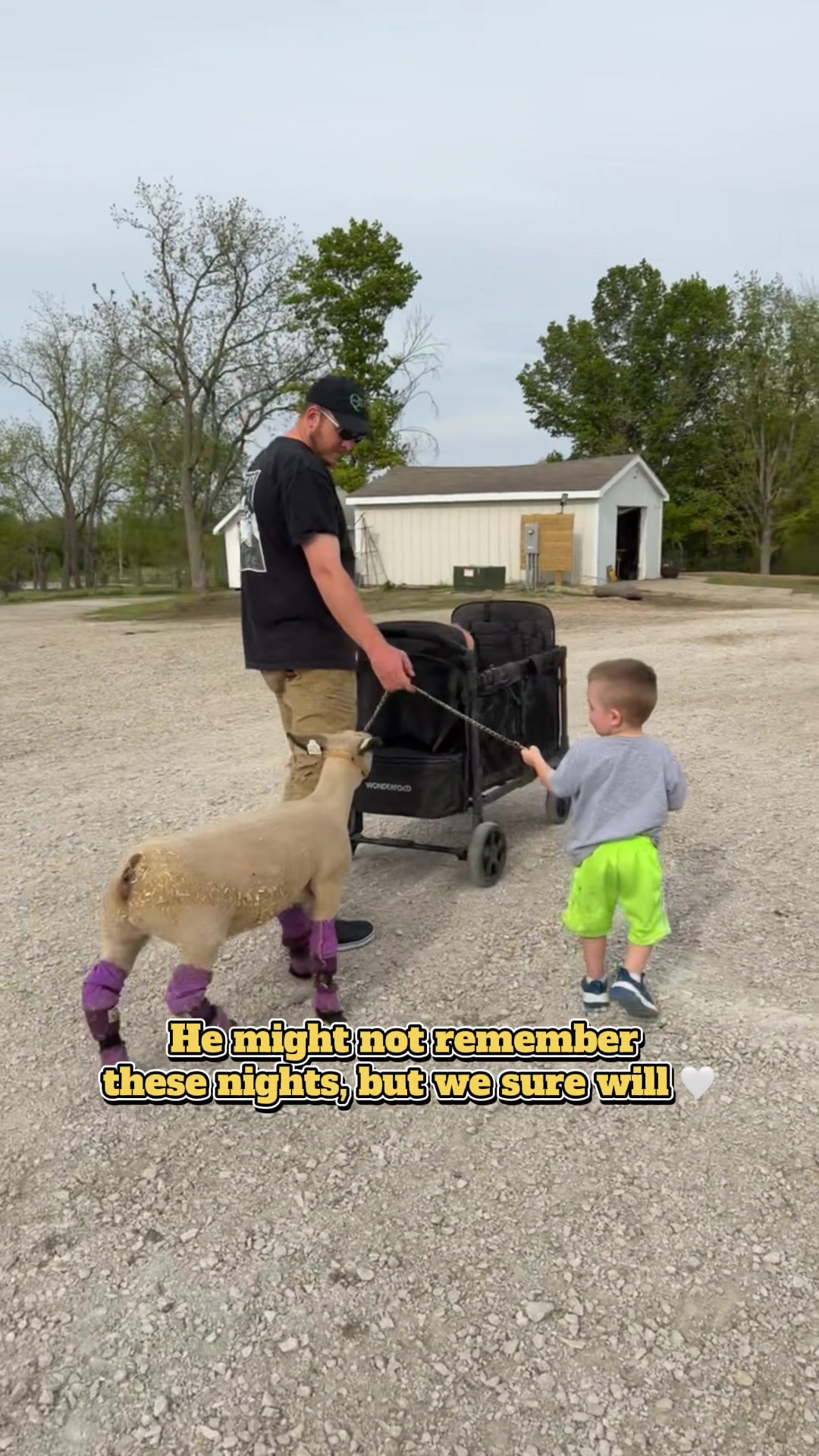 @ET Livestock