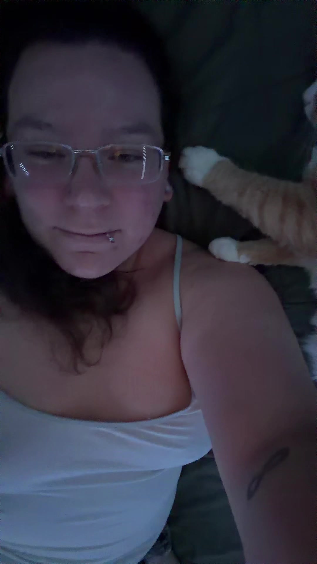 @Kitten 😸